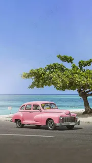 海岸上的小车与树高清摄影图片