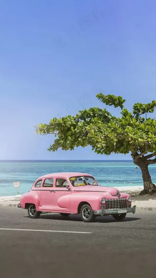 海岸上的小车与树高清摄影图片