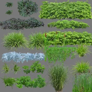 时尚园林设计绿色植物