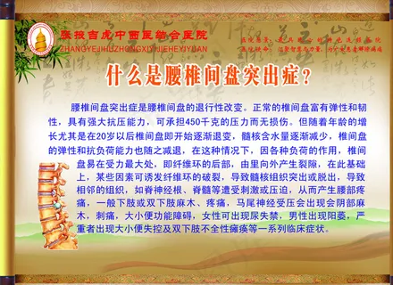 腰椎间盘突出症 展板图片