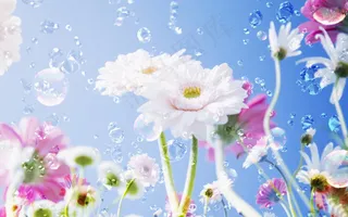 高清电脑桌面背景壁纸