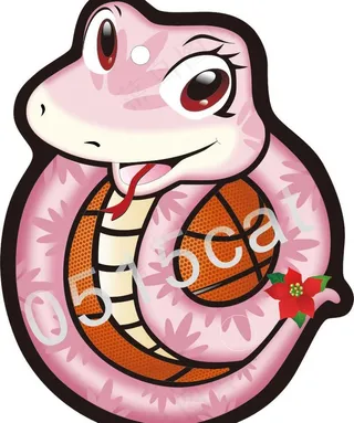 蛇 蛇年 2013 花蛇 篮球图片