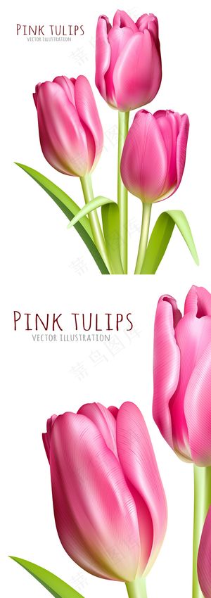 粉红色郁金香时尚背景矢量素材