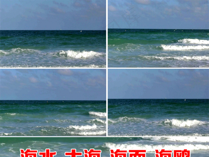 超高清实拍海浪海鸥风景视频