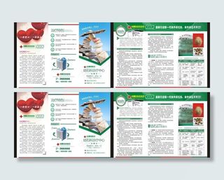 碎石三折页图片