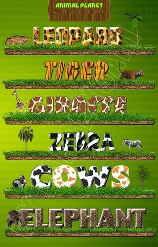 非洲动物皮毛样式图片