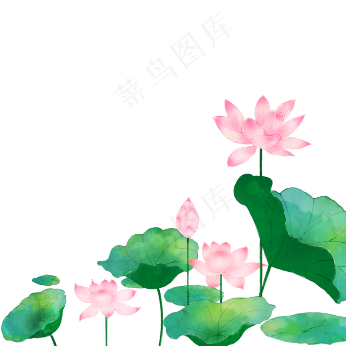 手绘夏天荷花荷叶插画免抠