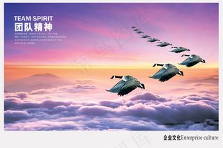 团队精神企业文化画册海报PSD源文件模板