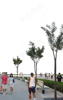 广场绿化环境设计135图片 广场绿化环境设计135图片