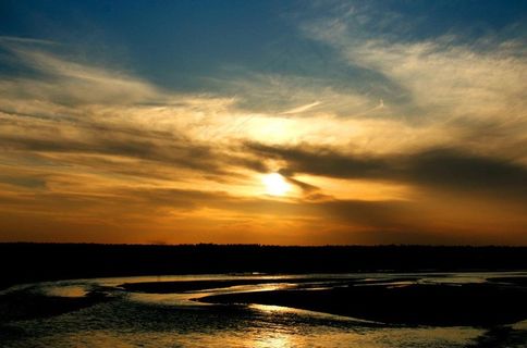 沙漠中的希望图片