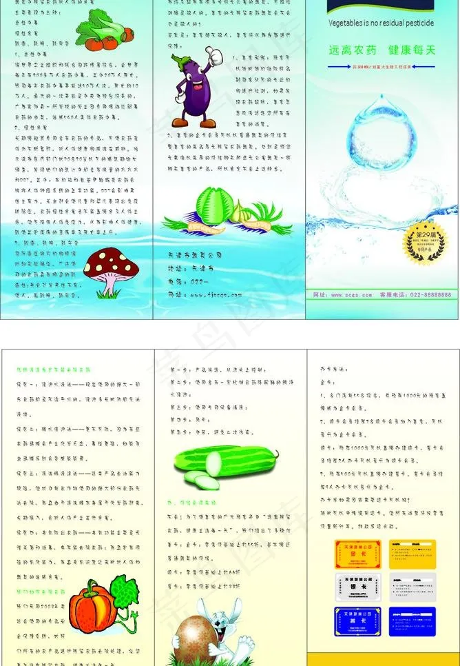 蔬菜三折页图片cdr矢量模版下载