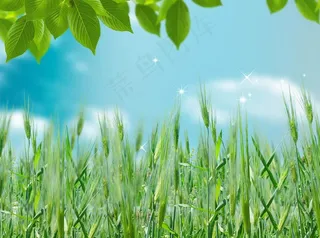 绿色春天分层素材图片