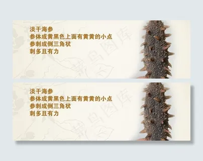 海参淘宝海报图片 海参淘宝海报图片