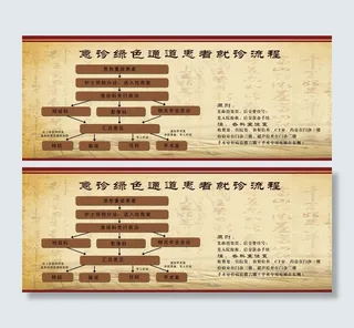 绿色通道就诊流程图图片