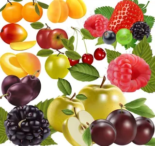 水果集图片