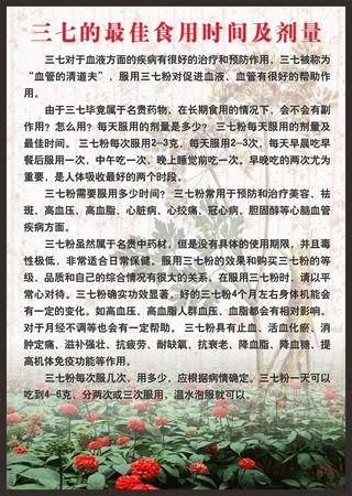 三七的最佳食用时间及剂量