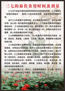 三七的最佳食用时间及剂量 三七的最佳食用时间及剂量