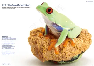 环保产品册子设计