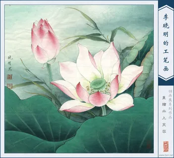 国画荷花图片 国画荷花图片