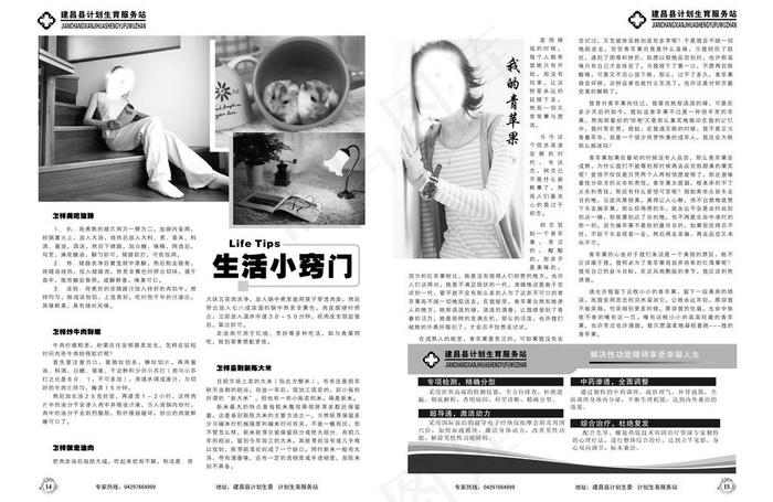杂志图片cdr矢量模版下载