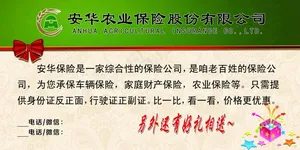 安华 海报