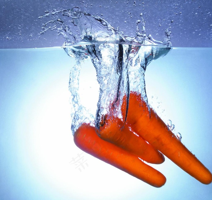 水中的胡萝卜图片