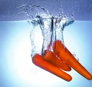 水中的胡萝卜图片