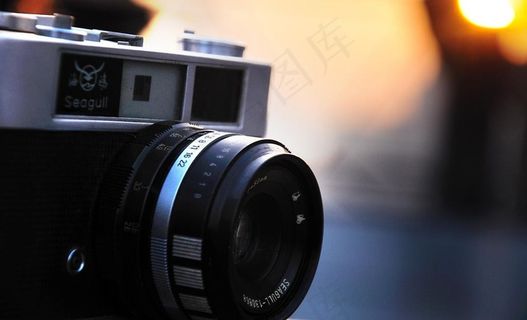 海鸥相机图片