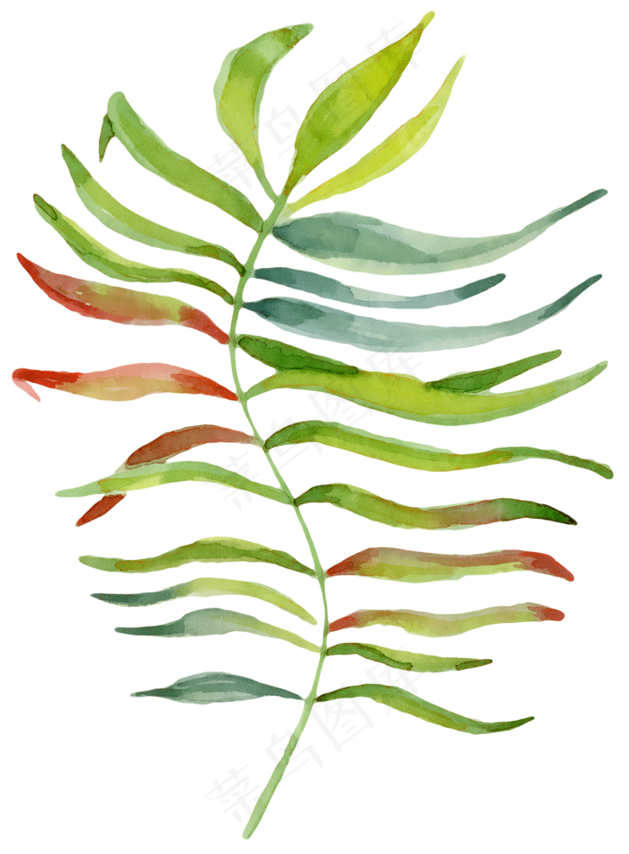 手绘有个性的叶子png透明素材