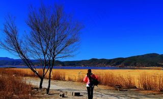 丽江拉市海景图片