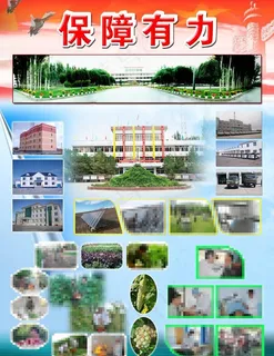 部队后勤保障图片