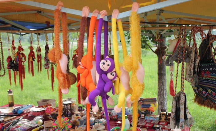 顽皮的猴子图片