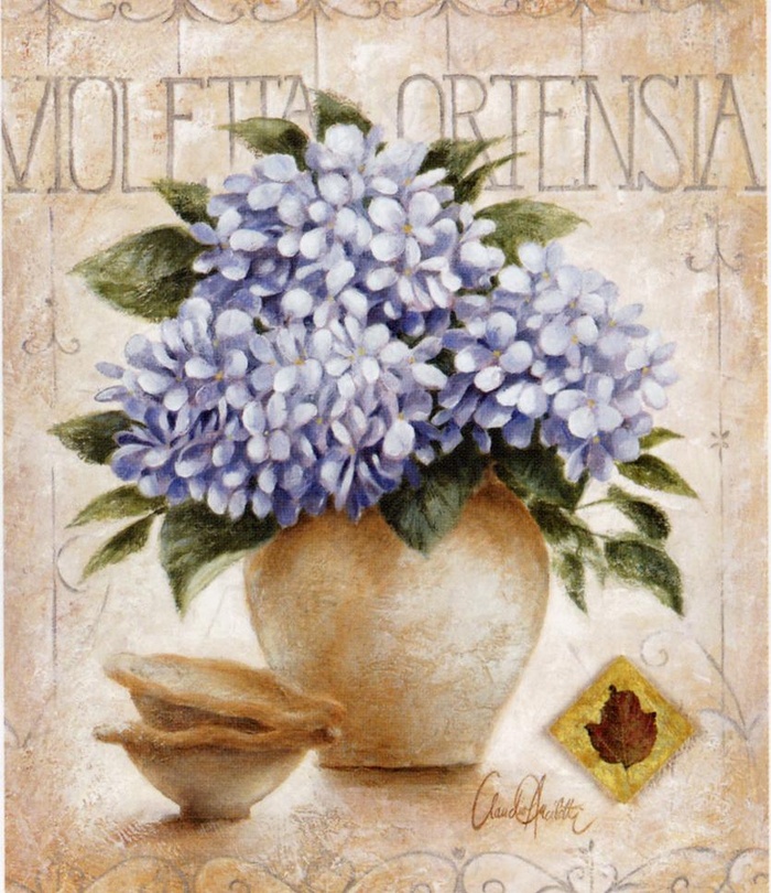 欧式装饰画 ortensia花图片