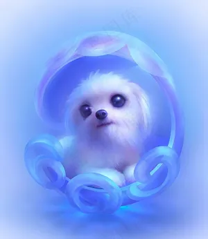 可爱的小狗狗——高清图片