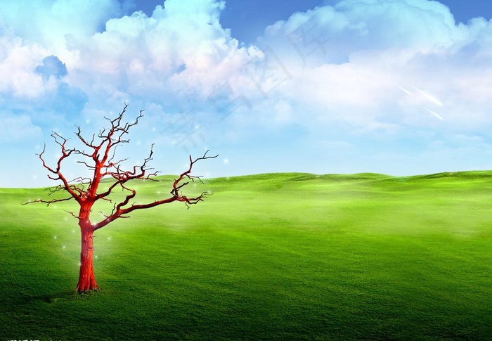 蓝天下的美图片