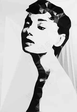 创意黑白简约个性晶体赫本图