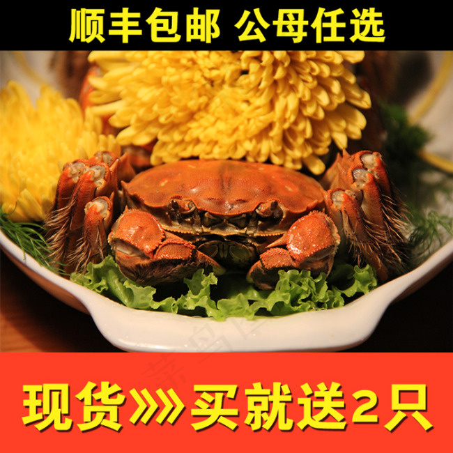 大闸蟹主图psd模版下载