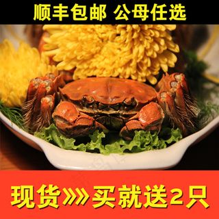 大闸蟹主图