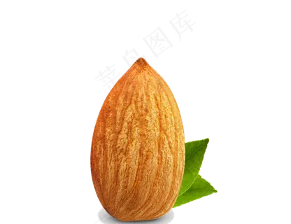 卡通实物核桃坚果海报PNG素材
