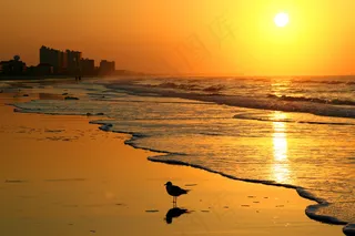 海岸落日晚景图片