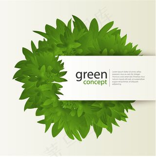 花纹边框 底纹树叶