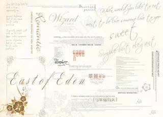 底纹花色和英文特色字体婚纱类