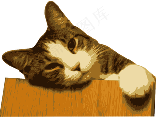 轻松的猫（BG去除）