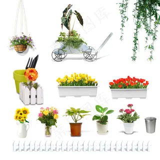 盆栽无背景素材PSD源文件