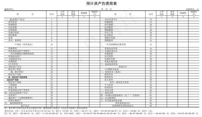 预计资产负债简表