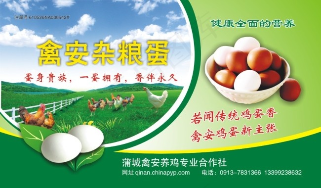 鸡蛋海报cdr矢量模版下载