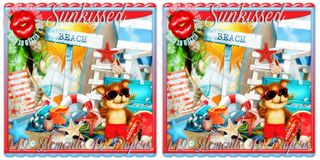 欧美剪贴素材(夏日海洋风)