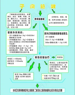 子痫抢救流程图片