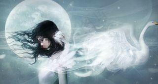 白天鹅QQ空间flash