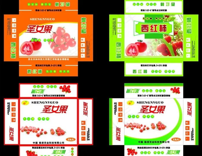 圣女果包装图片cdr矢量模版下载